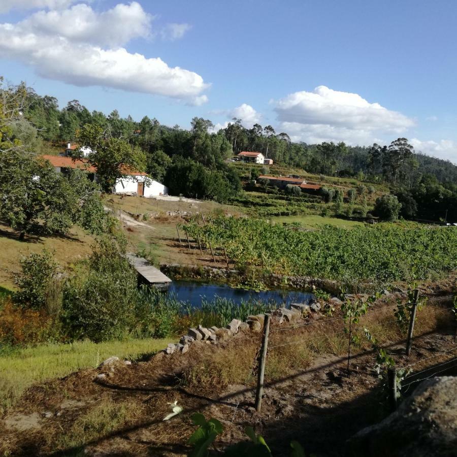 Casa Na Quinta De Valinhas Daire Vitorino dos Piães Dış mekan fotoğraf